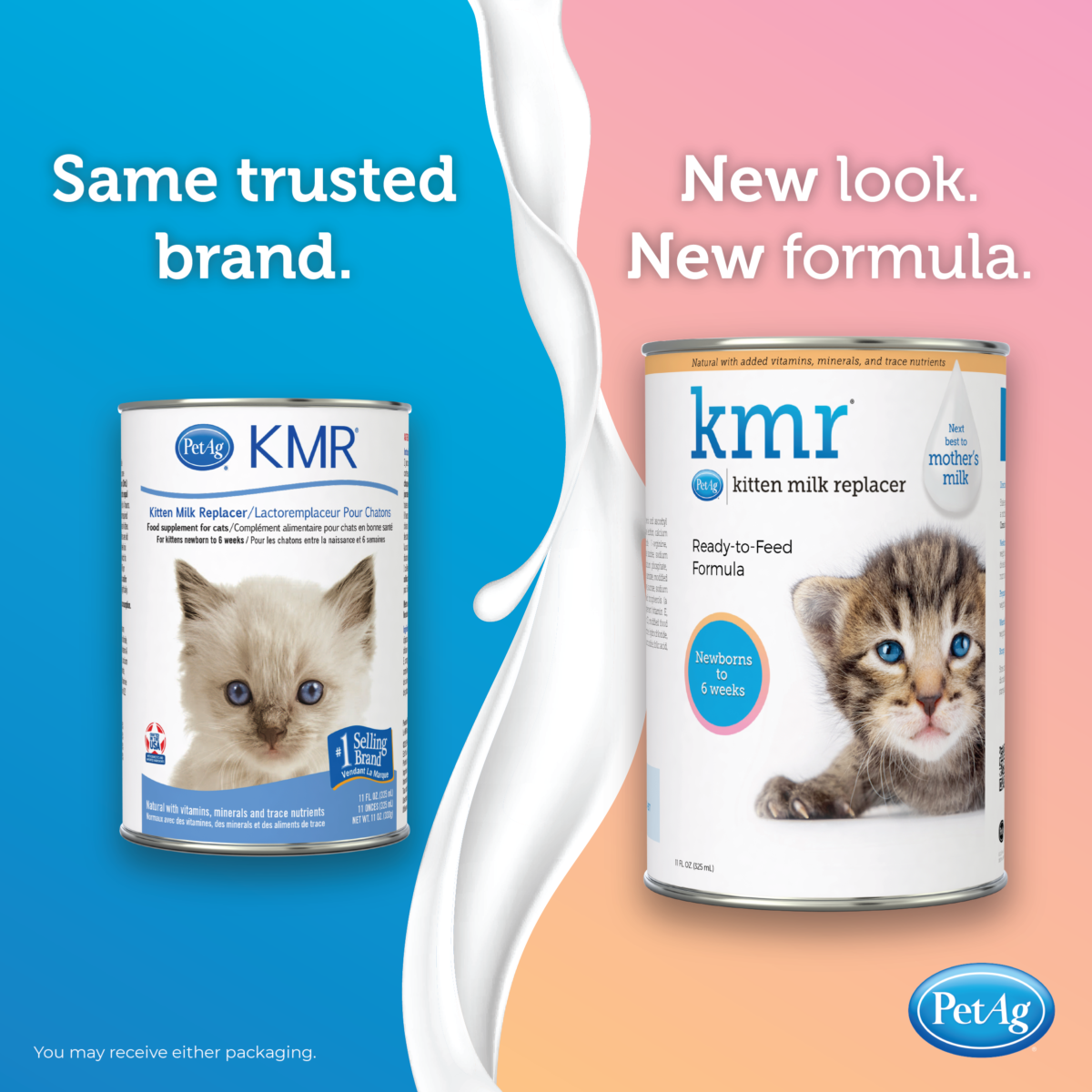 Kitten Formula What Food To Give Baby Kittens Can You Give Baby