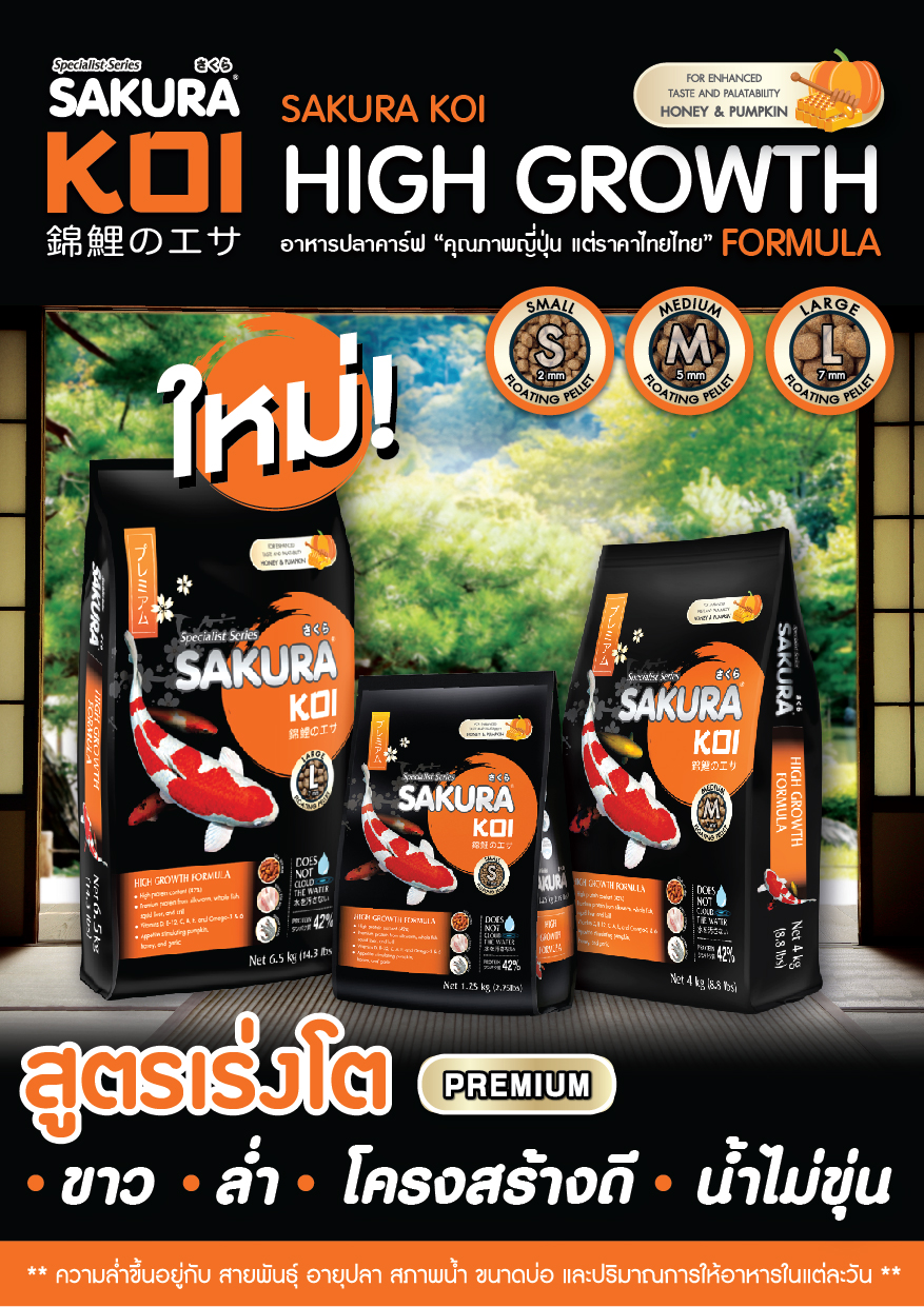 Sakura Koi High Growth Formula Floating 65kg อาหารปลาคาร์ฟ สูตรเร่งโต โครงสร้างดี น้ำไม่ 6974