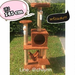 ราคาเปิดร้านใหม่ ถูกสุดๆๆๆๆๆ ในย่านนี้ คอนโดแมว บ้านแมว สูง 145 cm. สีน้ำตาล
