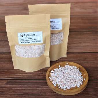 Top Dressing Size 3 Marble for Succulents & Cactus Pink Marble 100grams หินแม่น้ำธรรมชาติ 100%