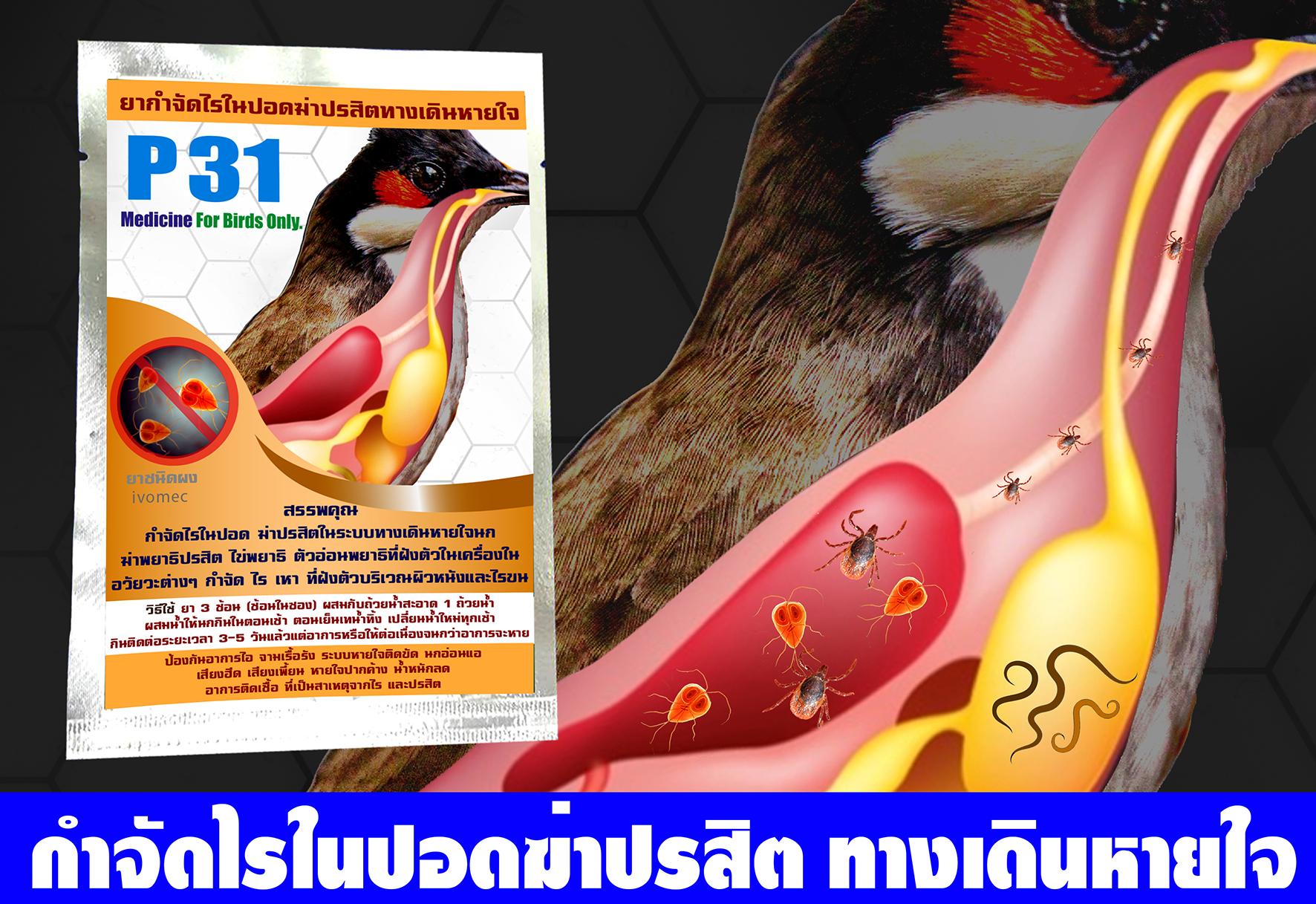 ยากำจัดไรในปอด P31 ฆ่าไรปอดปรสิตในระบบทางเดินหายใจนก ฆ่าพยาธิปรสิต ไข่พยาธิ 1 ซอง 15 g.