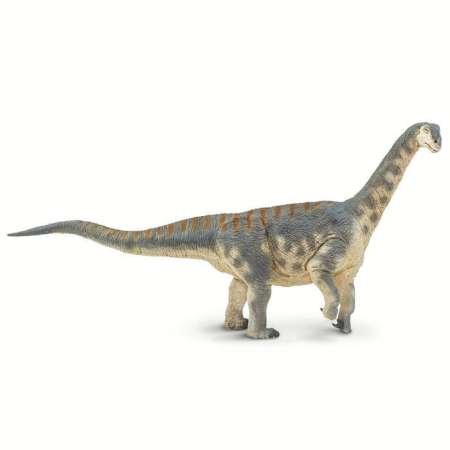 !!นำเสนอ Safari Ltd. : SFR100309 โมเดลไดโนเสาร์ Camarasaurus ส่วนลดชั่วโมงนี้