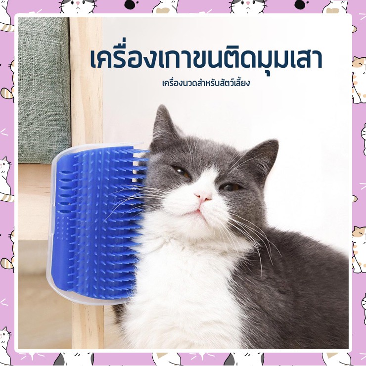 I-CAT ที่นวดน้องแมวแบบติดเสา ที่นวดพลาสติก มีช่องใส่ผงแคทนิป