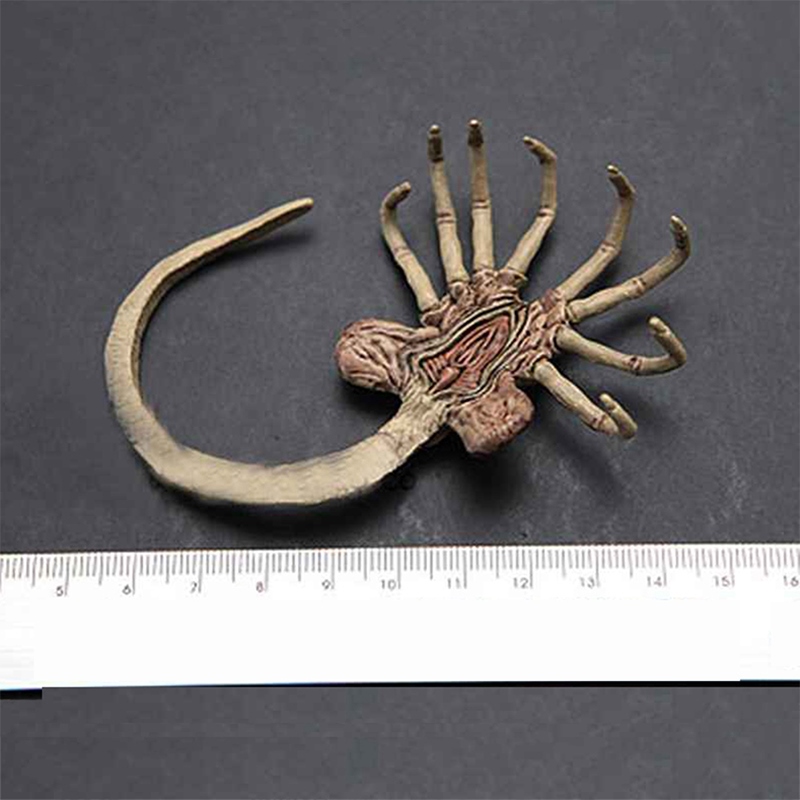 16 Action Figure Accessory Alien Predator Prometheus Star Beast