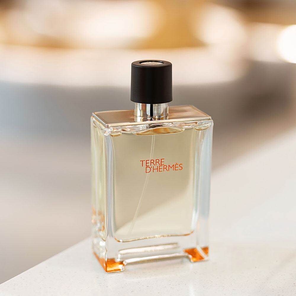 แท้100 น้ำหอม Hermes Terre Dhermes Edt 100ml For Men Perfume แอร์เมส น้ำหอมผู้ชาย กลิ่นหอมติดทน 6030