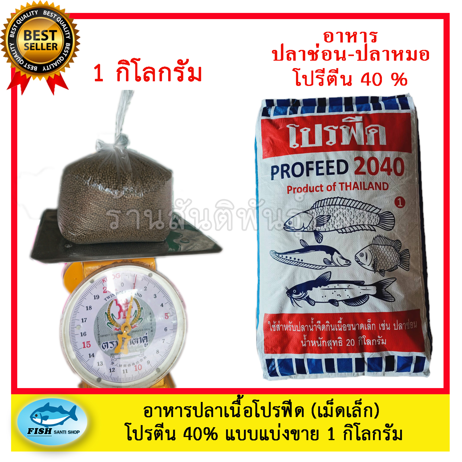 อาหารปลากินเนื้อ โปรฟีด 2040 เบอร์ 1 (1 กิโลกรัม )  สูตรเร่ง โปรตีน 40 % ใช้ได้กับปลาทุกชนิด