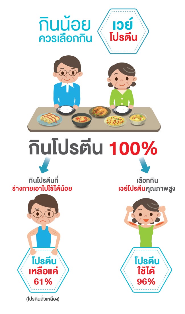 โปรตีนเชค กินทุกวันได้ไหม