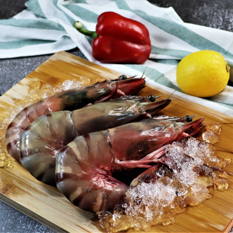 ภาพหน้าปกสินค้าส่งฟรีกุ้งลายเสือ กุ้งทะเลธรรมชาติ สดจากทะเลใต้ ปลอดสารพิษ เนื้อเด้ง หวาน อร่อย แพคสูญญากาศ  Seafood From Home จากร้าน Seafood From Home บน Lazada