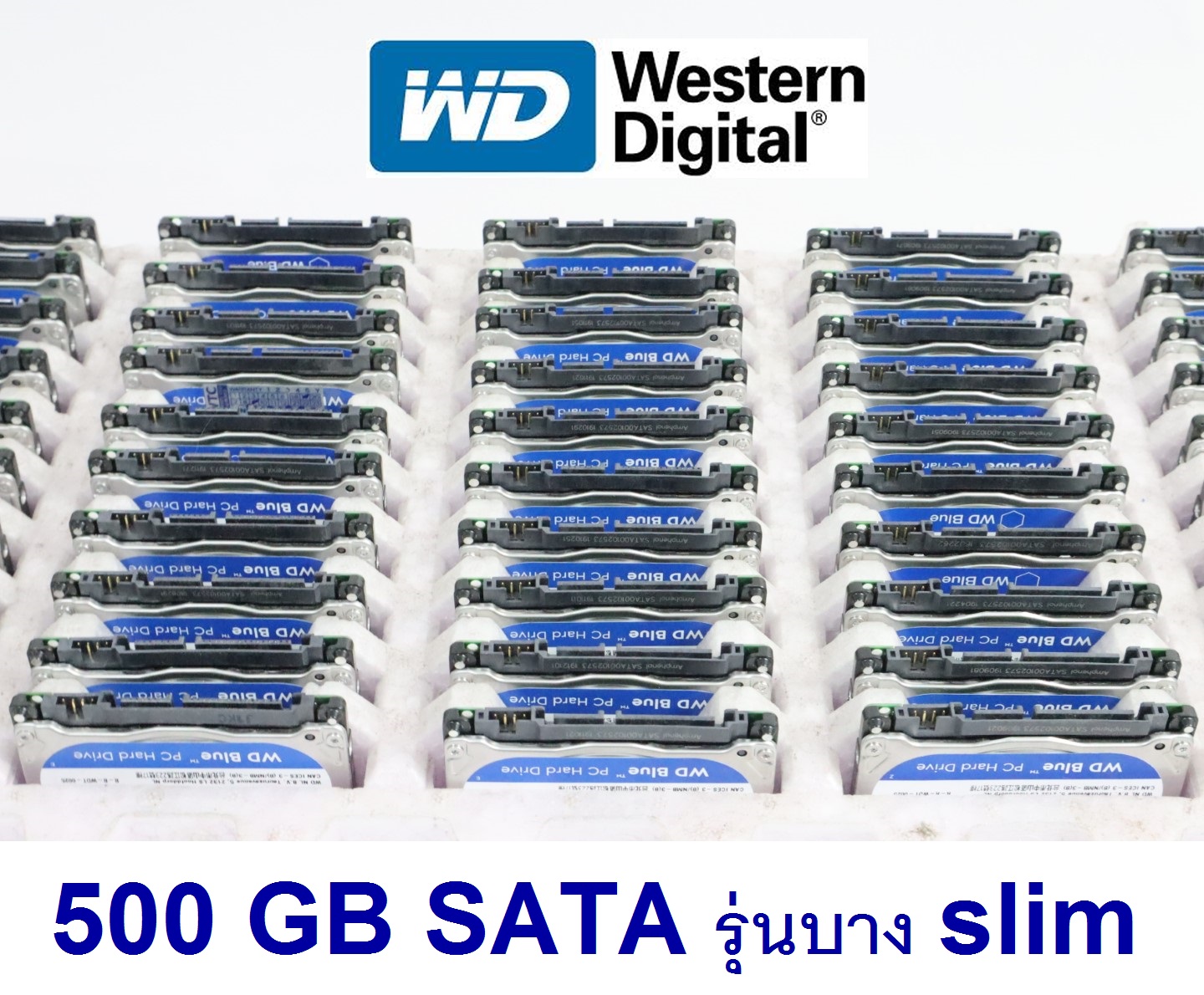WD ฮาร์ดดิสก์ Blue 500GB HDD 2.5