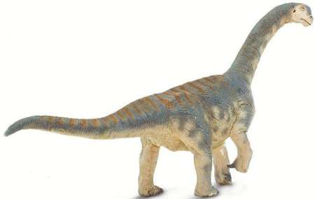 Safari Ltd. : SFR100309 โมเดลไดโนเสาร์ Camarasaurus