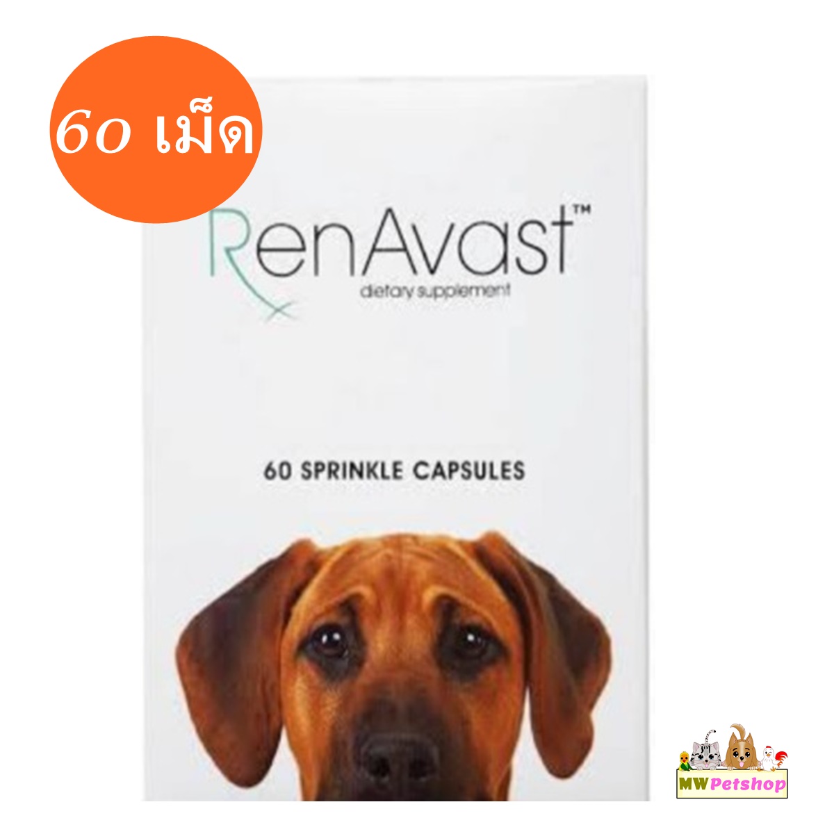 RenAvast DOG อาหารเสริม บำรุงไตสุนัข (60 แคปซูล)