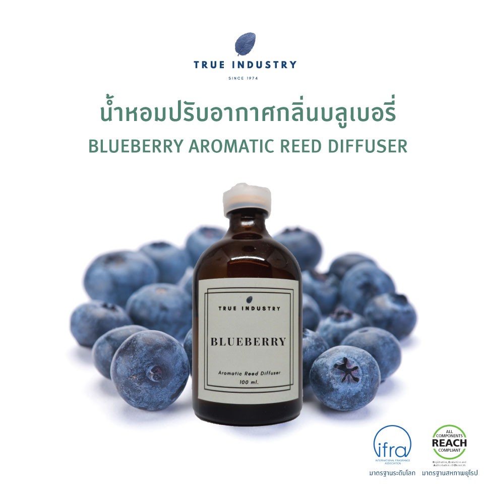 Hot Sale น้ำหอมปรับอากาศ กลิ่นบลูรี่ (Blueberry Aromatic Reed Diffuser) ราคาถูก เทียนหอม เทียนหอมคริสมาส