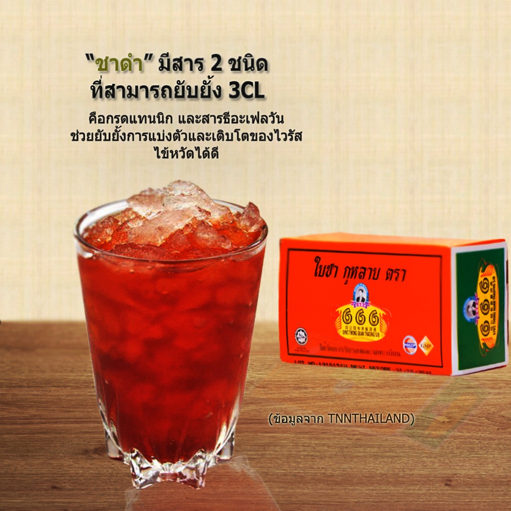 666 Tea 666 ชาดำกลิ่นกุหลาบ (ชาปรุงสำเร็จ) ขนาด 25 กรัม (1 x 12 โหล) - 666 Tea ...