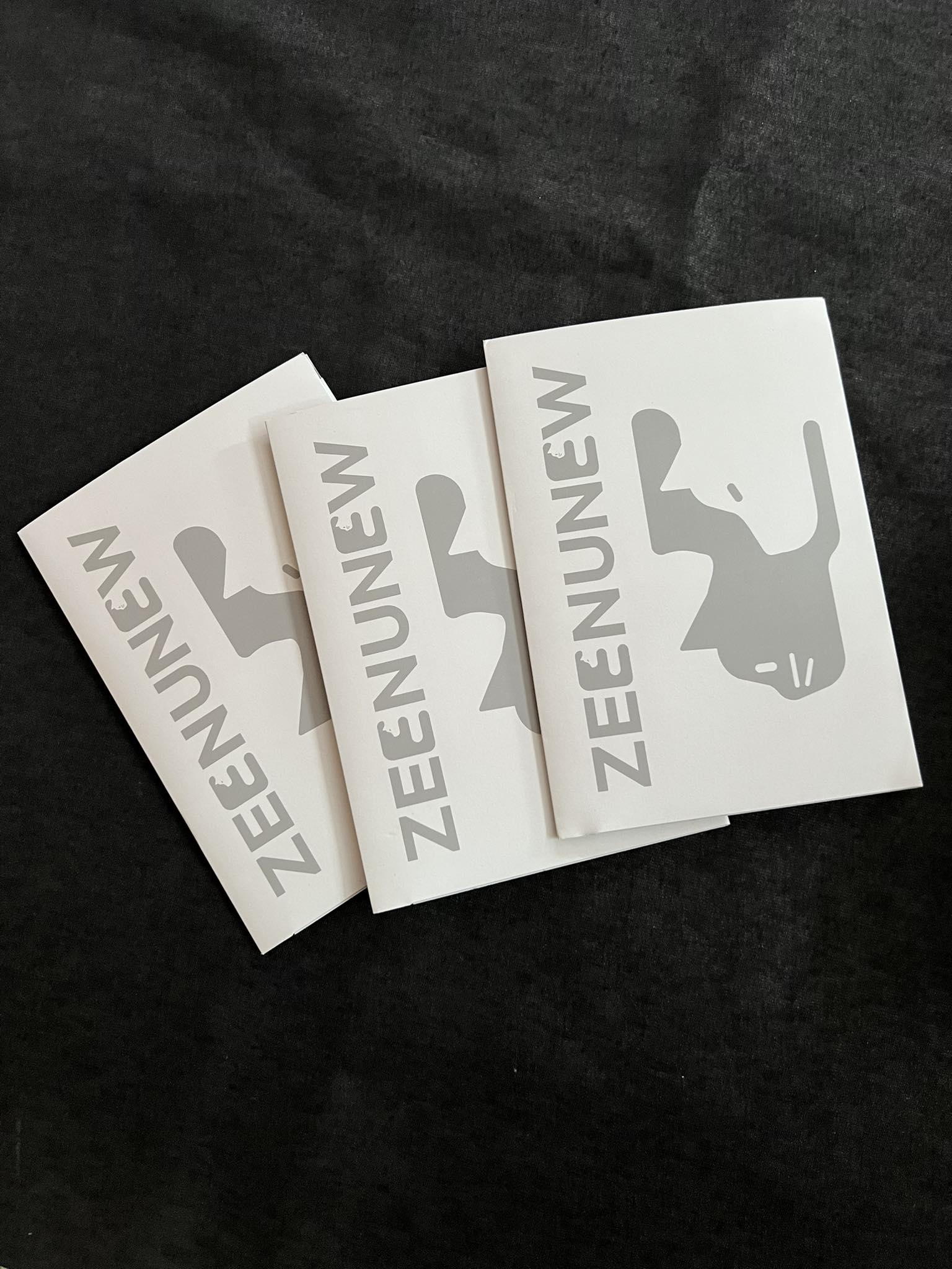 ZEENUNEW 1ST CONCERT ANOTHER LIFE トレカセット ZEENUNEW 1ST CONCERT ANOTHER LIFE トレカセット ZEENUNEW 1ST