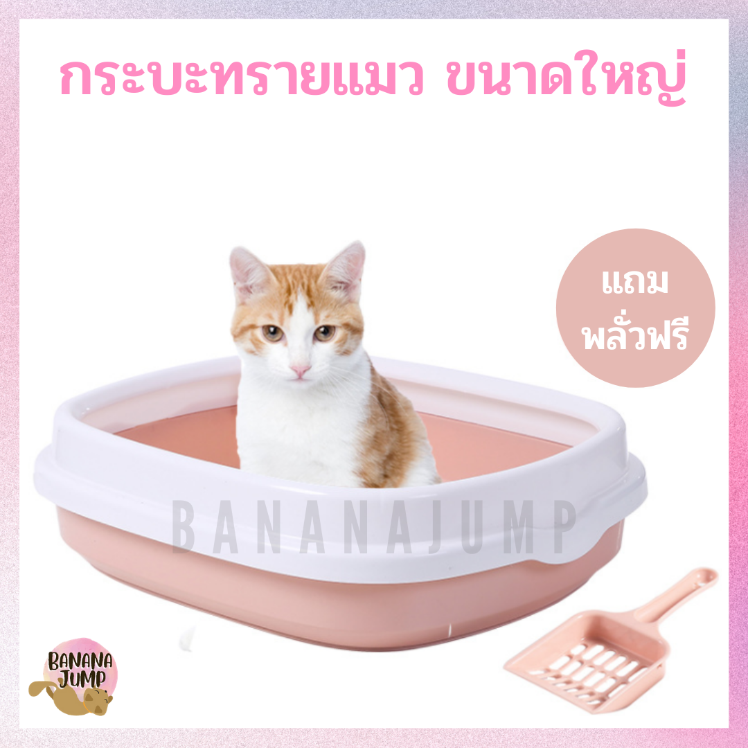 BJ Pet - กระบะทรายแมว ขนาดใหญ่!! ห้องน้ำแมว กระบะทราย สำหรับแมว สำหรับสัตว์เลี้ยง แมว