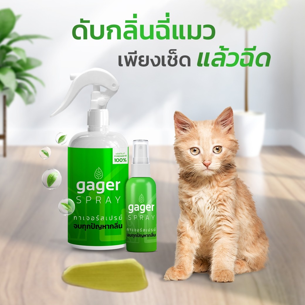 Gager (กาเจอร์) แชมพูขี้เรื้อน สเปรย์นาโนไคโตซานเบต้า กลูแคน เชื้อรา