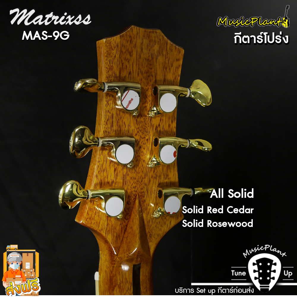 Matrixss กีตาร์โปร่ง/กีตาร์โปร่งไฟฟ้า รุ่น MAS-9G All Solid (Solid Cedar - Solid Rosewood)