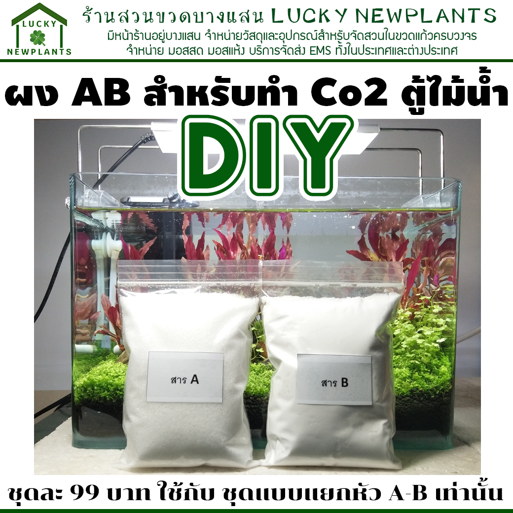 DIY Co2 ผง AB สำหรับทำก๊าซคาร์บอนไดออกไซด์ ตู้ไม้น้ำ ชุดละ 99 บาท ไม่มีคู่มือ