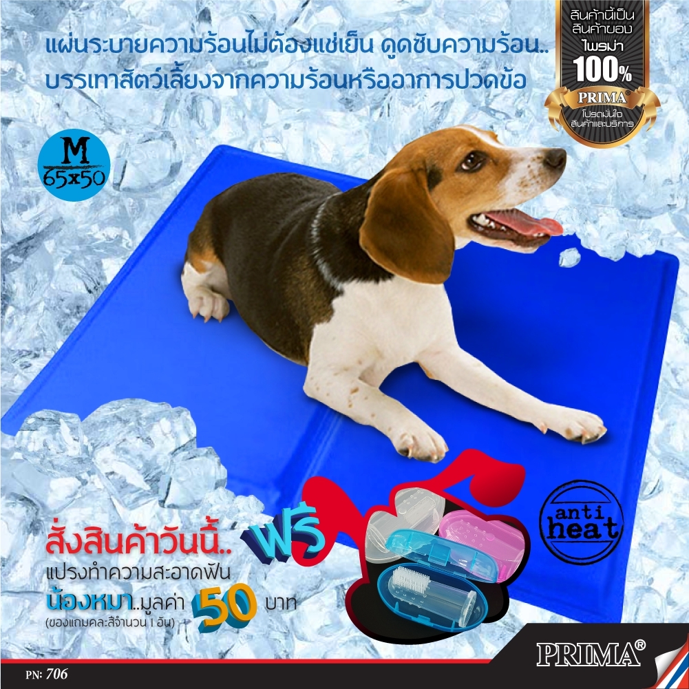 แผ่นเจลเย็น ที่นอนเย็น เบาะนอนเย็น Pet Cooling Mattress Mat Ice Pad  สำหรับสุนัขและแมว แถมฟรี แปรงสีฟันน้องหมา