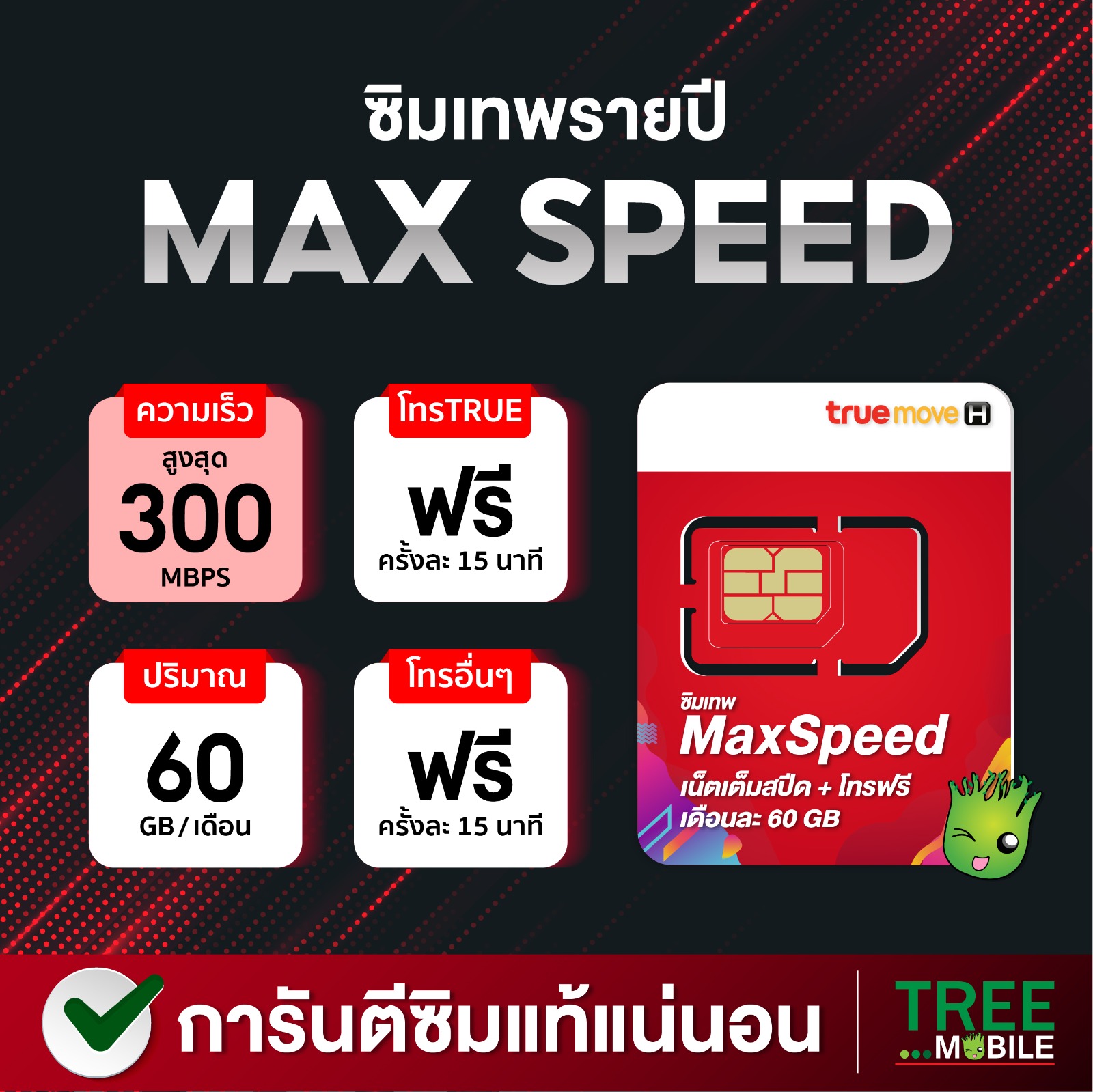 True MaxSpeed ซิมเทพทรู ซิมเน็ตเทพ ซิมรายปี Max Speed 60 เน็ตฟรี 60กิ๊ก เดือน โทรฟรีไม่อั้น ทุกเครือข่าย ไม่ต้องเติมเงิน ซิมรายปี ซิมเน็ต TreeMobile