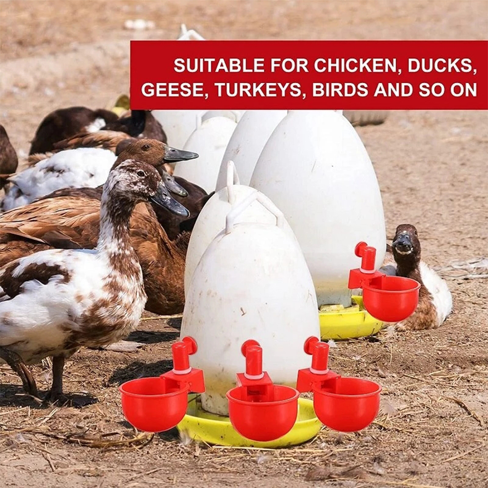 6pcs Chicken Drinking Bowl Poultry Automatic Drinking Fountain Drinking Cup For Ducks Turkeys Birds