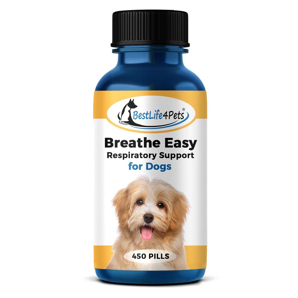 DOG Breathe Easy บรรเทา สุนัขไอ จาม น้ำมูกไหล  แน่นจมูก หอบ หวัด