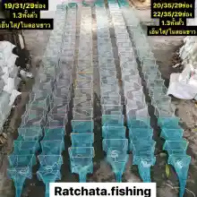 ภาพขนาดย่อของภาพหน้าปกสินค้าไซหนอน(ดักกุ้งจีน) 29 ช่อง ถี่พิเศษ 1.3ทั้งตัว ยาว 10เมตร มีขนาด 19/31 20/35 22/35 เอ็นใส จากร้าน Ratchata.fishingnet บน Lazada ภาพที่ 1