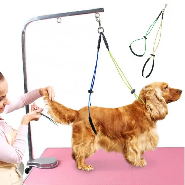 Dog grooming table leash Clearance