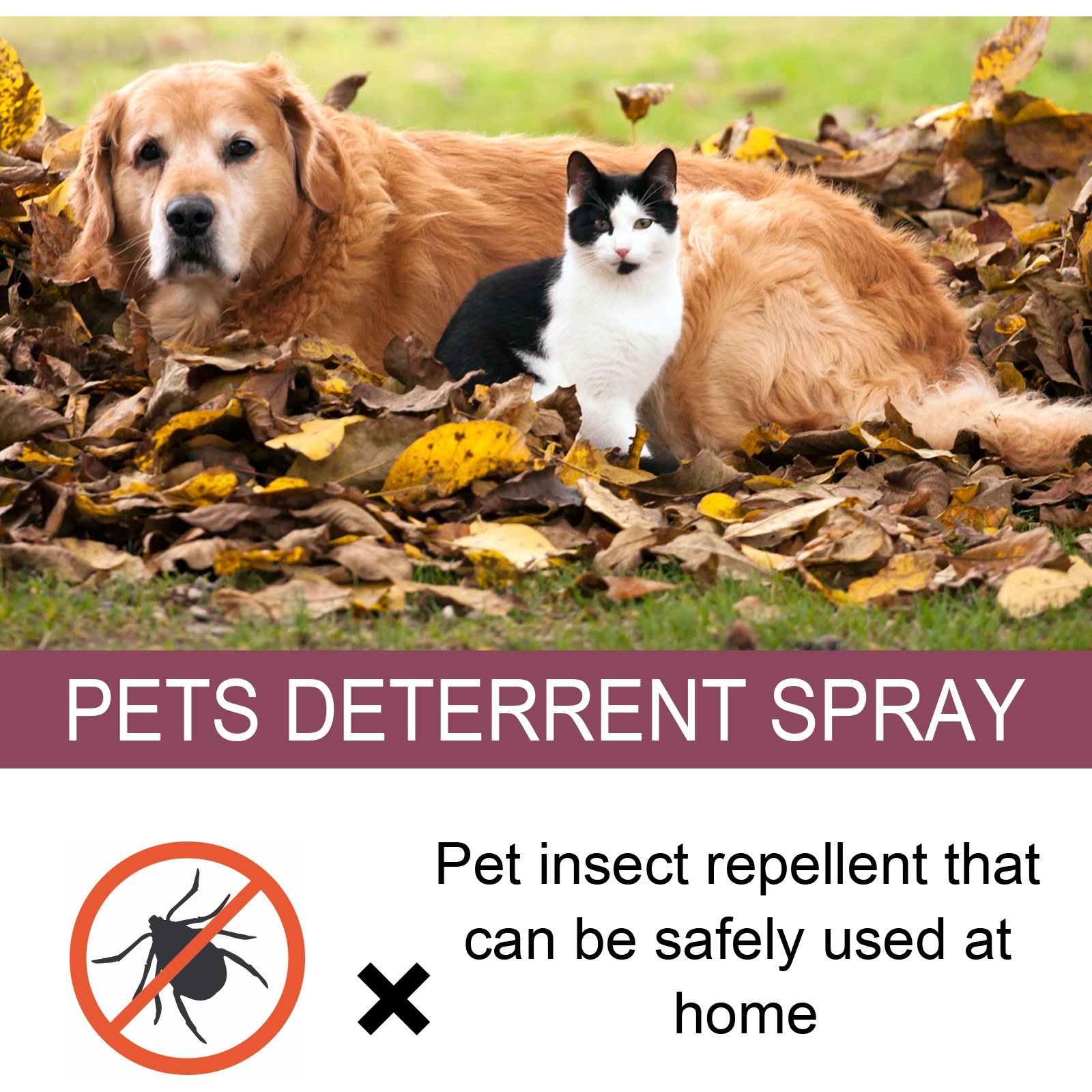 Family and Pet Flea Repellent Spray Convenient Safe to Use PainFree