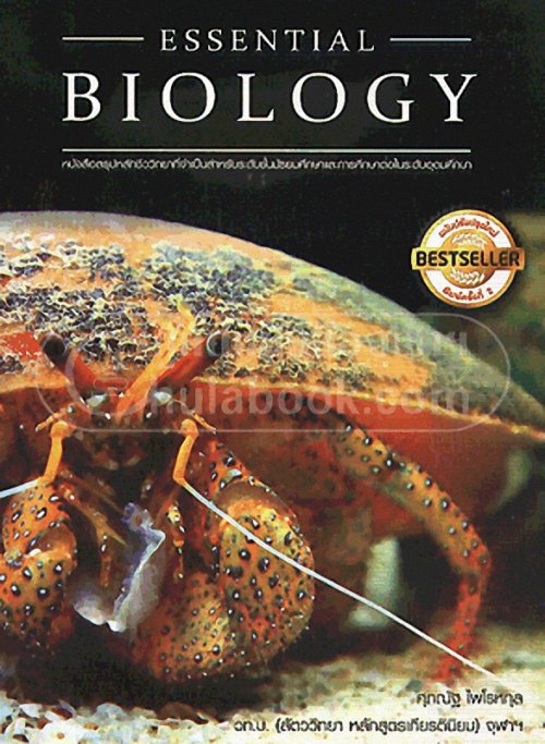 Chulabook(ศูนย์หนังสือจุฬาฯ) ESSENTIAL BIOLOGY หนังสือสรุปหลักชีววิทยาที่จำเป็นสำหรับระดับชั้นมัธยมศึกษา 9789747539288