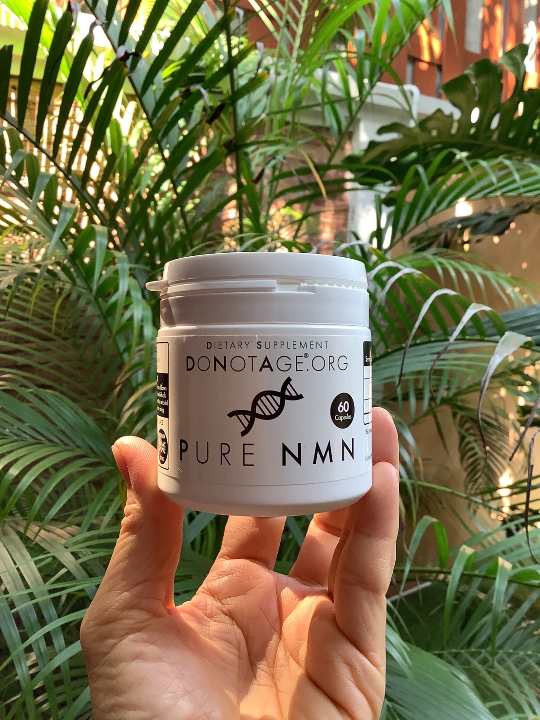  uk do not age nmn 60 capsules 100g powder 