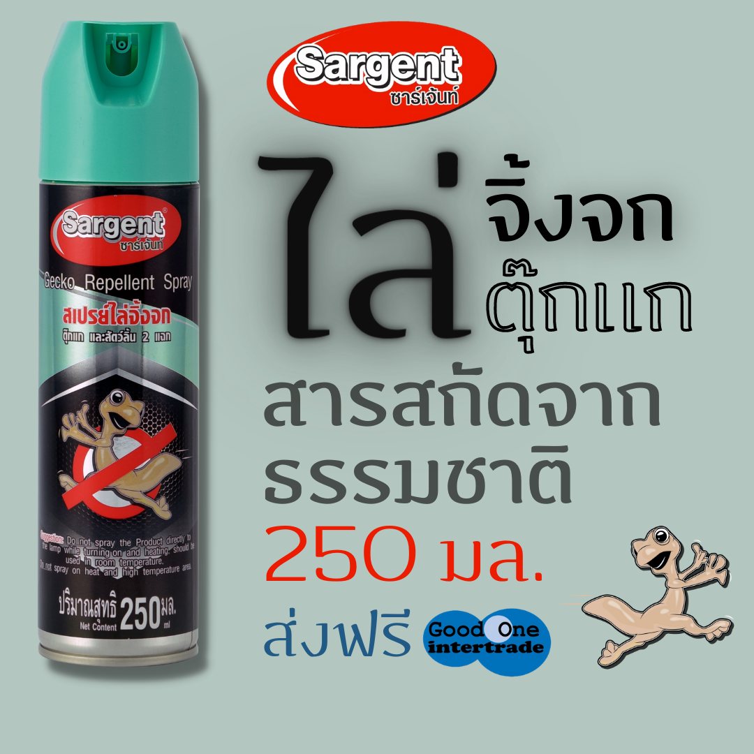My Image 70