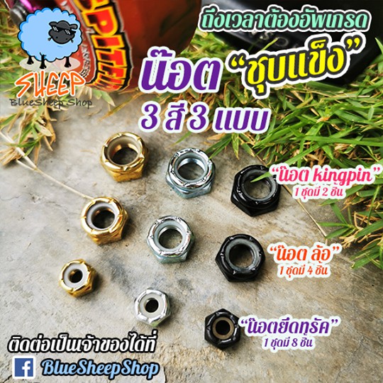 น๊อตสเก็ตบอร์ด น๊อตคิงพิน น๊อตล้อ น๊อตยึดทรัค (น๊อตตัวเมีย) kingpin wheels truck nut