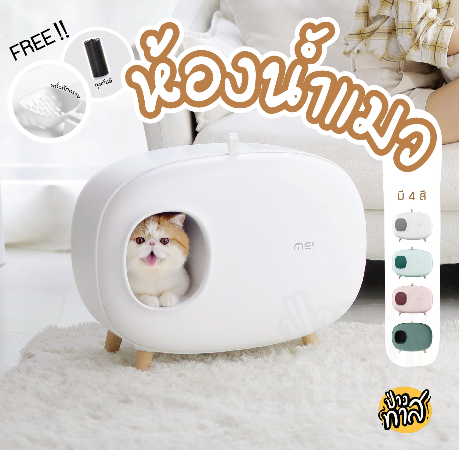 ห้องน้ำแมวเก็บกลิ่น สไตล์มินิมอล minimal style (makesure cat litter box)