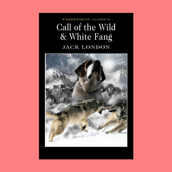 หนังสือนิยายภาษาอังกฤษ The Call of the Wild & White Fang เสียงเพรียกจากพงไพร ไอ้เขี้ยวขาว English book