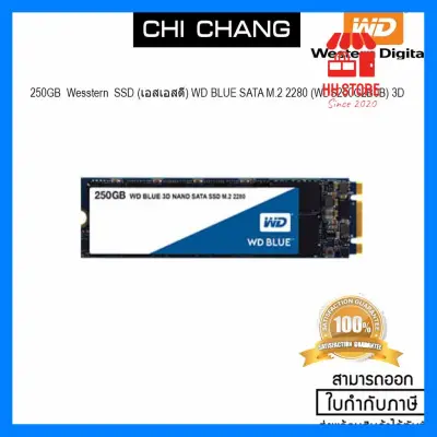 cool สุดๆ WESTERN 250GB SSD (เอสเอสดี) WD BLUE SATA M.2 2280- 3D #WDS250G2B0B ด่วน ของมีจำนวนจำกัด