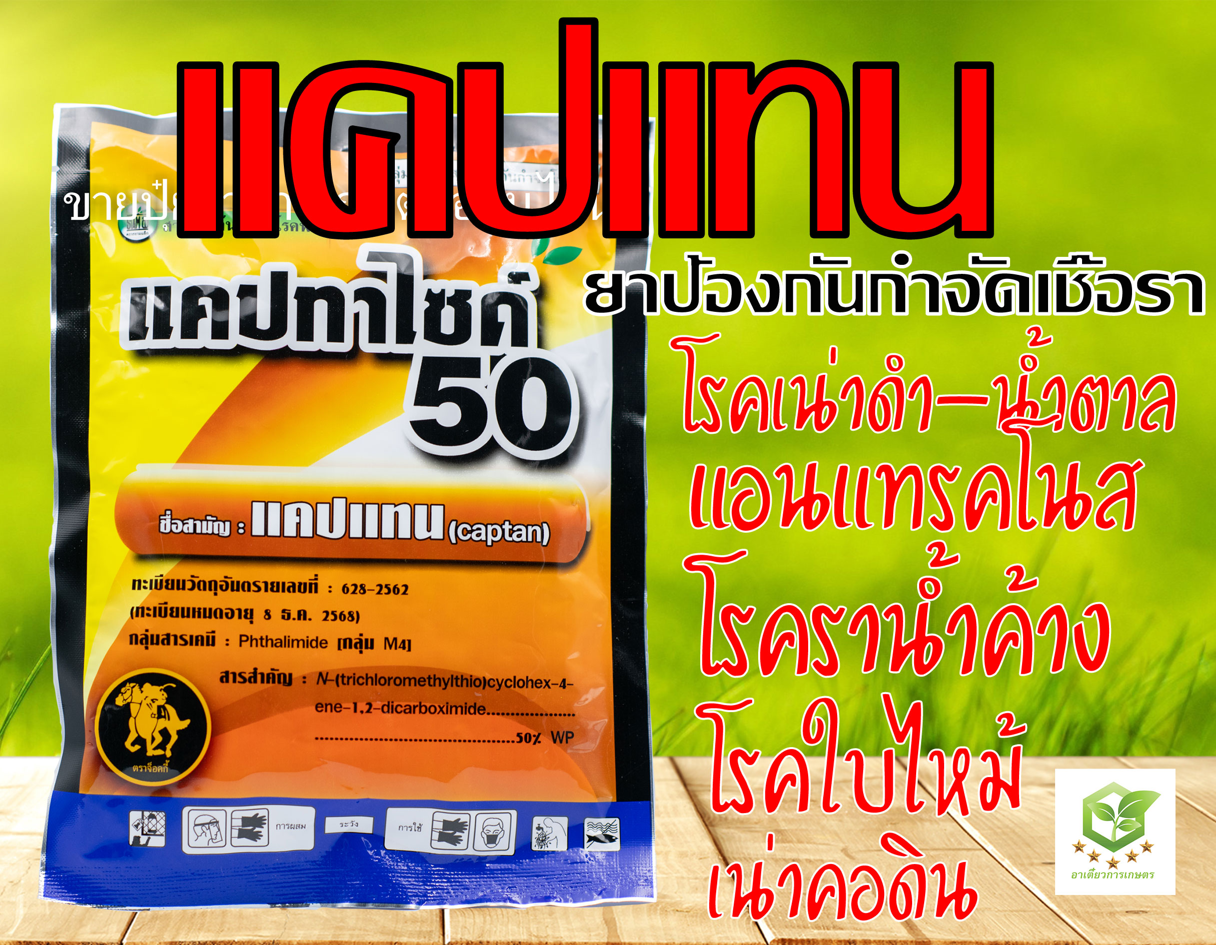 แคปแทน แคปทาไซด์ 50 สารป้องกันเชื้อรา 100 กรัม ยากันรา แคปเทน แคบแทน |  Lazada.Co.Th