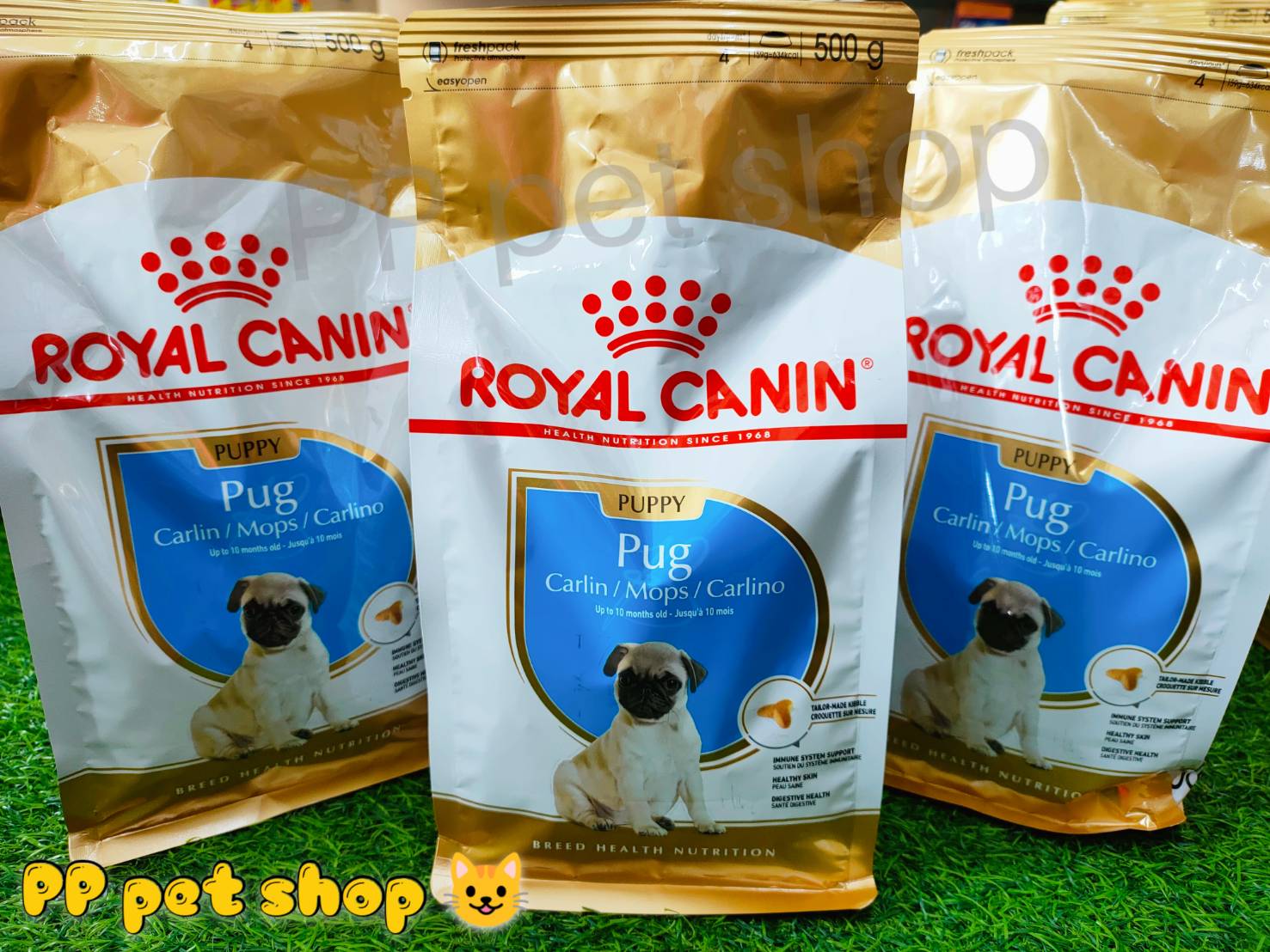 Royal Canin Pug Puppy โรยัล คานิน สำหรับลูกสุนัขโต พันธุ์ปั๊ก อายุ 2 ...