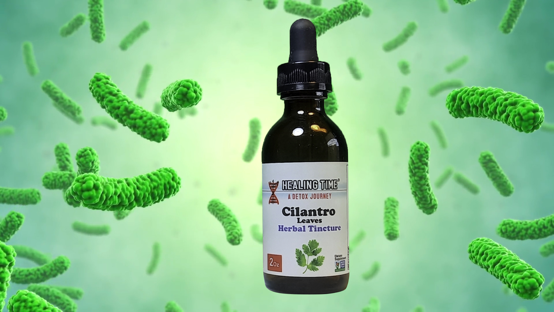 Cilantro Extract , Heavy Metal Detox , reduce anxiety , antioxidant