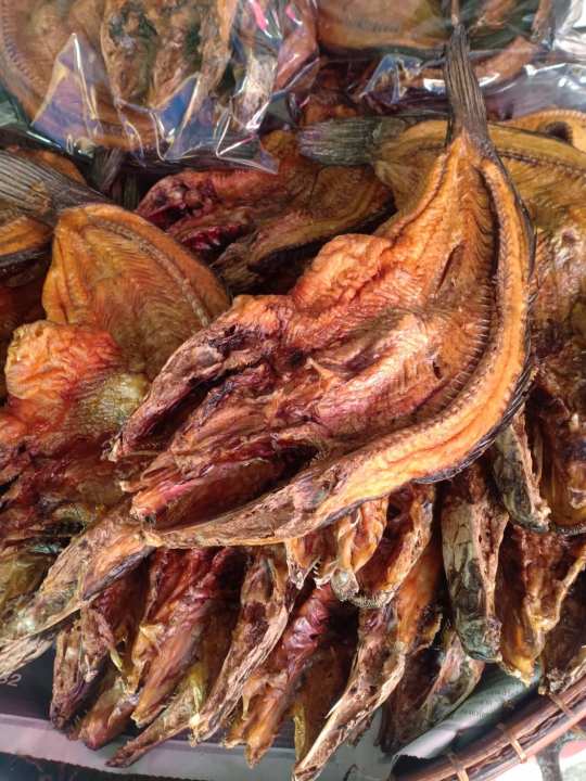 アイテムID:5204837の画像1枚目