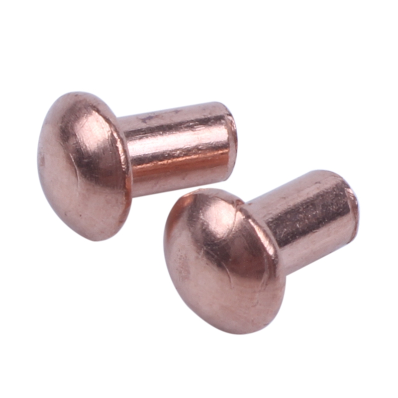 MroMax 200PCS Round Flat Head Rivet 0.24" X 0.1" (Length X Outer