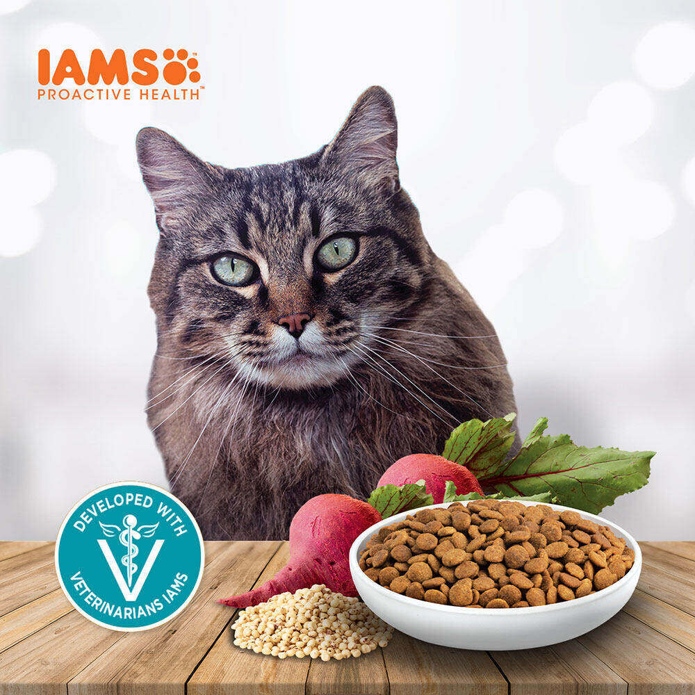 IAMS ไอแอมส์ โปรแอคทีฟ เฮลท์ อาหารแมวพรีเมียม – อาหารเม็ดแมว สูตรเลี้ยงในบ้านและบำรุงขน รสไก่, 3 กก.