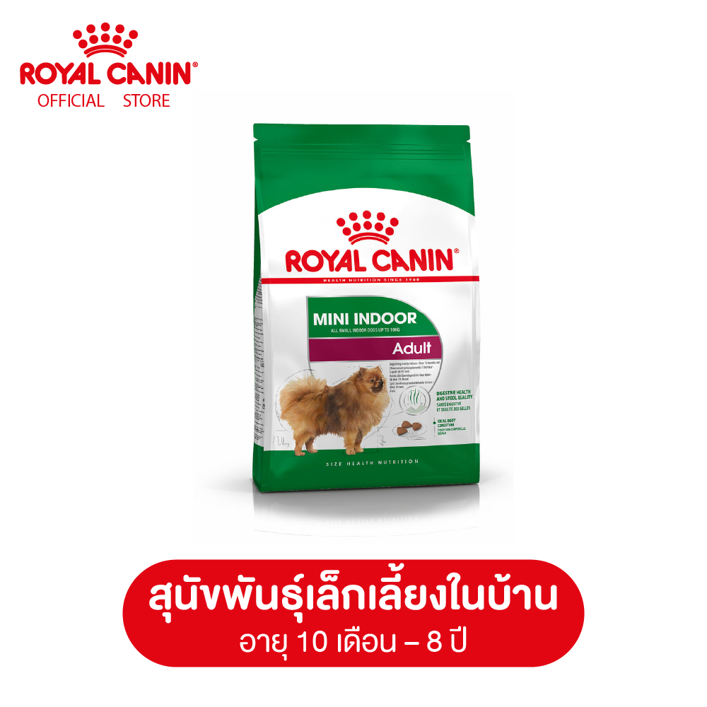 Royal Canin Mini Indoor Adult โรยัล คานิน อาหารสุนัขโต พันธุ์เล็ก เลี้ยงในบ้าน อายุ 10 เดือน - 8 ปี (เล็ก, Dog food, อาหารเม็ดสุนัข)