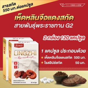 ภาพหน้าปกสินค้าเห็ดหลินจือแดง G2 สกัด 550 มก. (2กล่อง 120 แคป) สารสกัดสูงสุด เข็มข้นกว่า 3-5 เท่า เห็ดหลินจือแคปซูล เห็ดหลินจือสกัด เซนจิ zenji เห็ดหลินจือ G2 ที่เกี่ยวข้อง