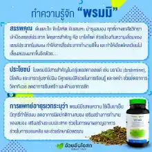 ภาพขนาดย่อของภาพหน้าปกสินค้าHerbal One Bacopa เฮอร์บัลวัน พรมมิ จากร้าน BLUEBEARBAR บน Lazada ภาพที่ 4