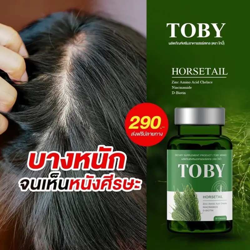 ภาพสินค้ามีปลายทาง โทบี้หางม้า โทบี้หญ้าหางม้า วิตามินลดผมร่วง Toby Horsetail ผมบาง หัวล้าน ผมร่วงหลังคลอด กระตุ้นการเกิดผมใหม่ จากร้าน Jamsaibyzeleb บน Lazada ภาพที่ 2