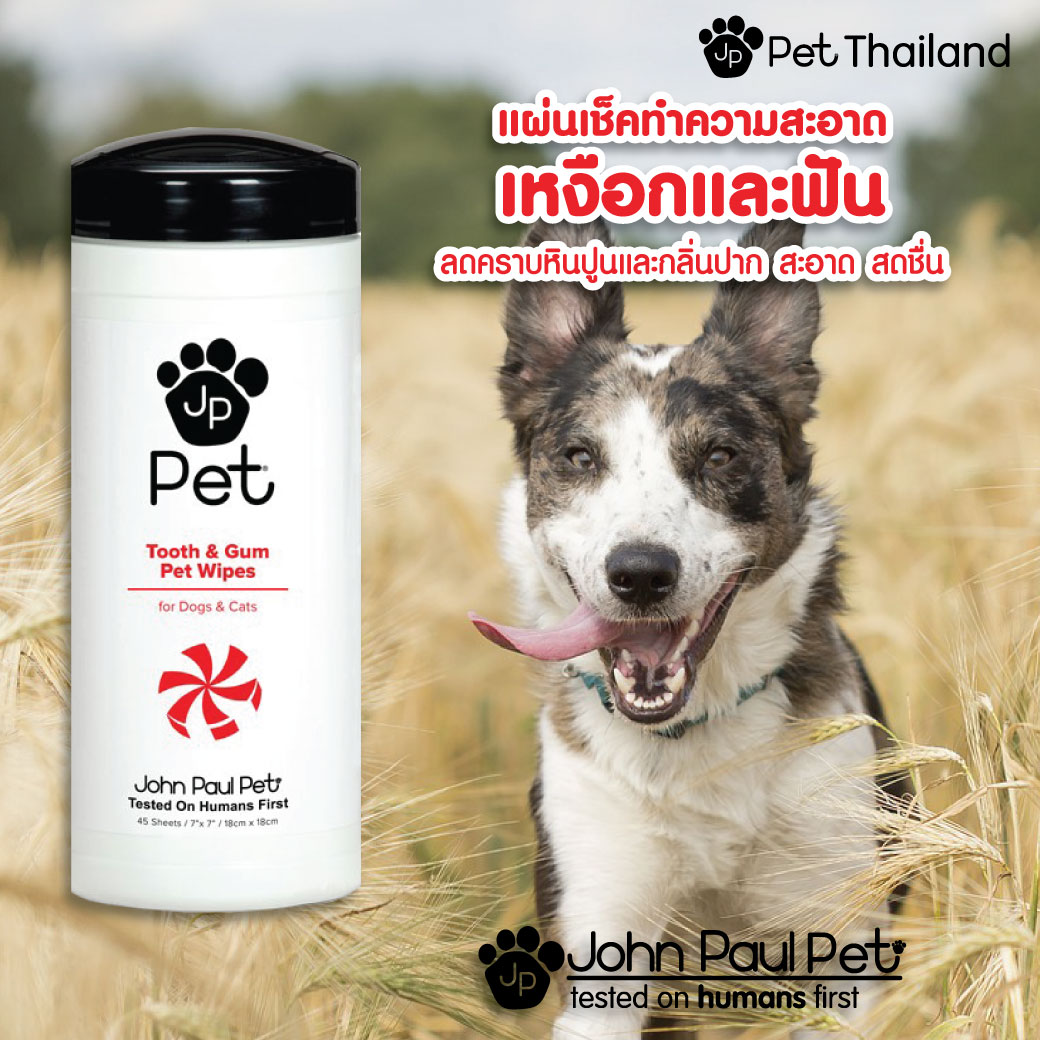 John Paul Pet ผ้าเปียกทำความสะอาดเหงือกและฟันหมาแมว TOOTH GUM PET