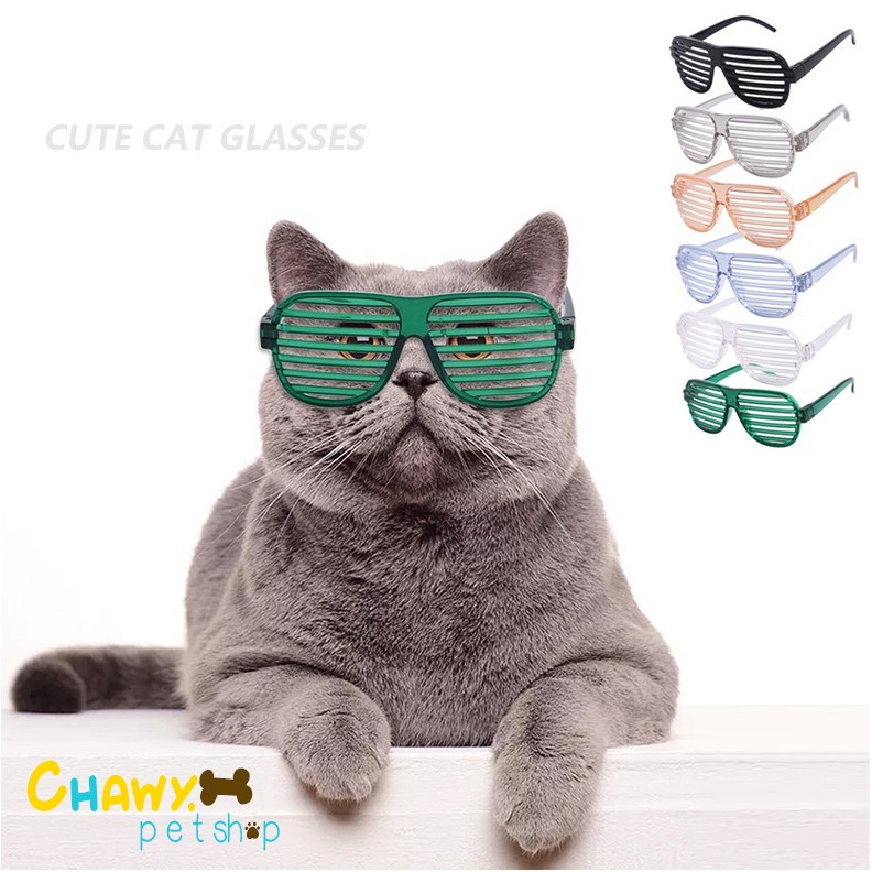 ❈  แว่นตาสัตว์เลี้ยง แว่นตาลายเส้น แว่นตาแมว แว่นตาหมา แว่นตาสัตว์เลี้ยงแฟชั่น