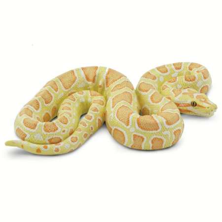 ราคาไม่แพงๆ Safari Ltd. : SFR100250 โมเดลสัตว์ Albino Burmese Python
เช็คราคาไม่แพง