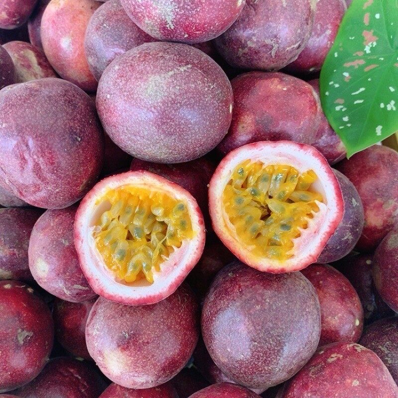 🍃ถุงใหญ่ 5 กกเสาวรสพันธุ์ไทนุง เก็บสดจากสวน หวานอมเปรี้ยว อร่อย วิตามินซีสูง Passion Fruit 8371